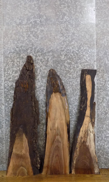 3- Live Edge Black Walnut DIY Charcuterie Boards/Craft Pack 1534-1536